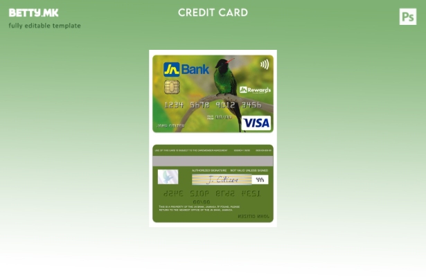 модерен стил Јамајка JN Bank виза класичен шаблон за кредитна картичка